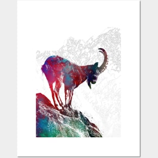 Alpine ibex Posters and Art